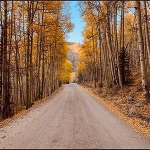 Meet your Posher, Aaron